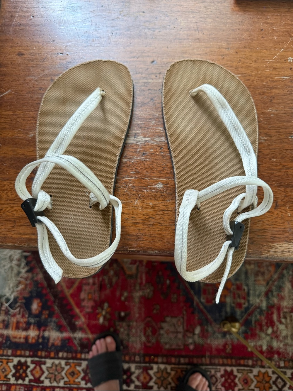 Women’s Cloud Earth Runner Circadian Sandals with Tan Footbed
